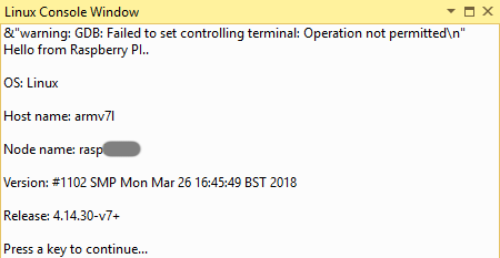 Linux Console Output